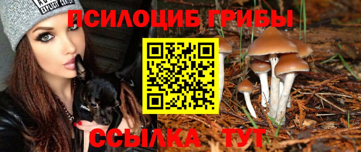 Мариинск  Галлюциногенные грибы мухоморы  Вход с VPN  Псилоцибиновые грибы ЛСД 